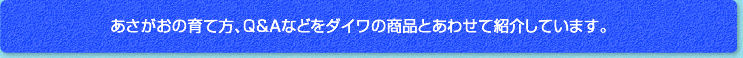あさがおの育て方、Ｑ＆Ａなどをダイワの商品とあわせて紹介しています。