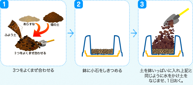 1、3つをよくまぜ合わせる 2、鉢に小石をしきつめる 3、土を鉢いっぱいに入れ上記と同じように水をかけ土をなじませ､１日おく。