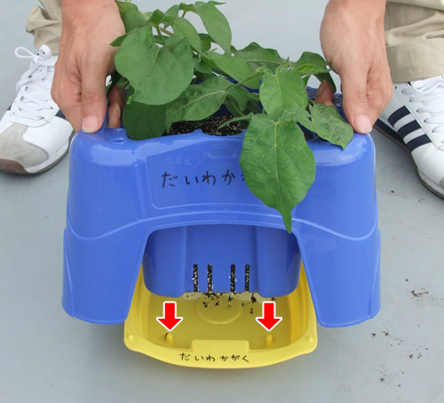 うけざらの丸いデッパリに鉢の角穴を合わせる