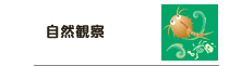 自然観察