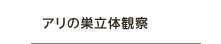 アリの巣立体観察