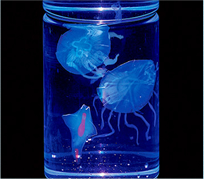 神秘の透明生物をつくろう！
