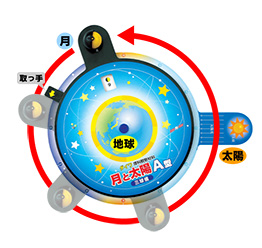 立体的に見る月の形

（宇宙からの視点）